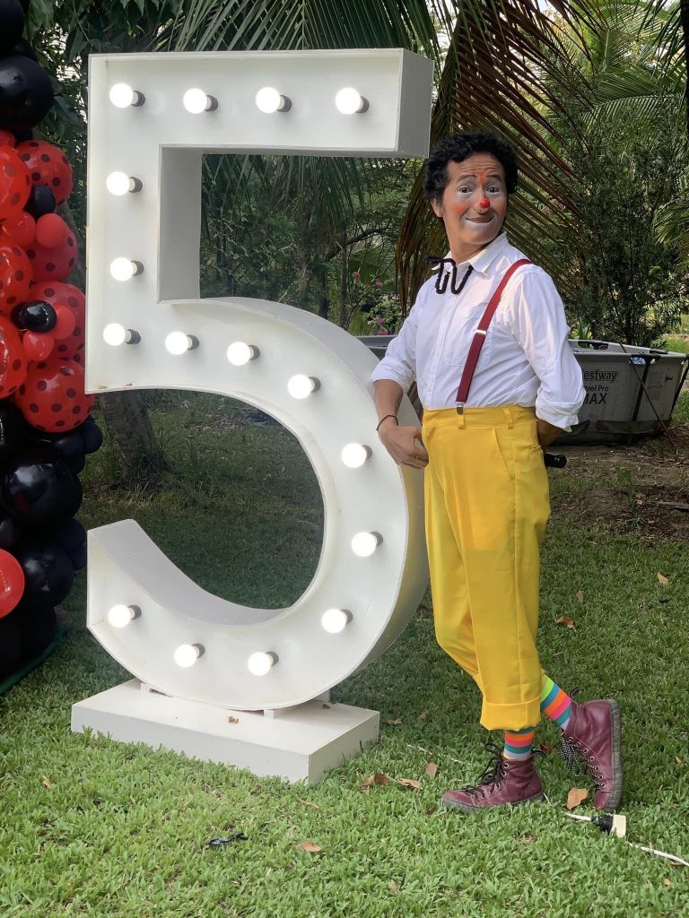 imagen
                                        galeria