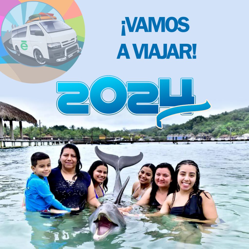 imagen
                                        galeria