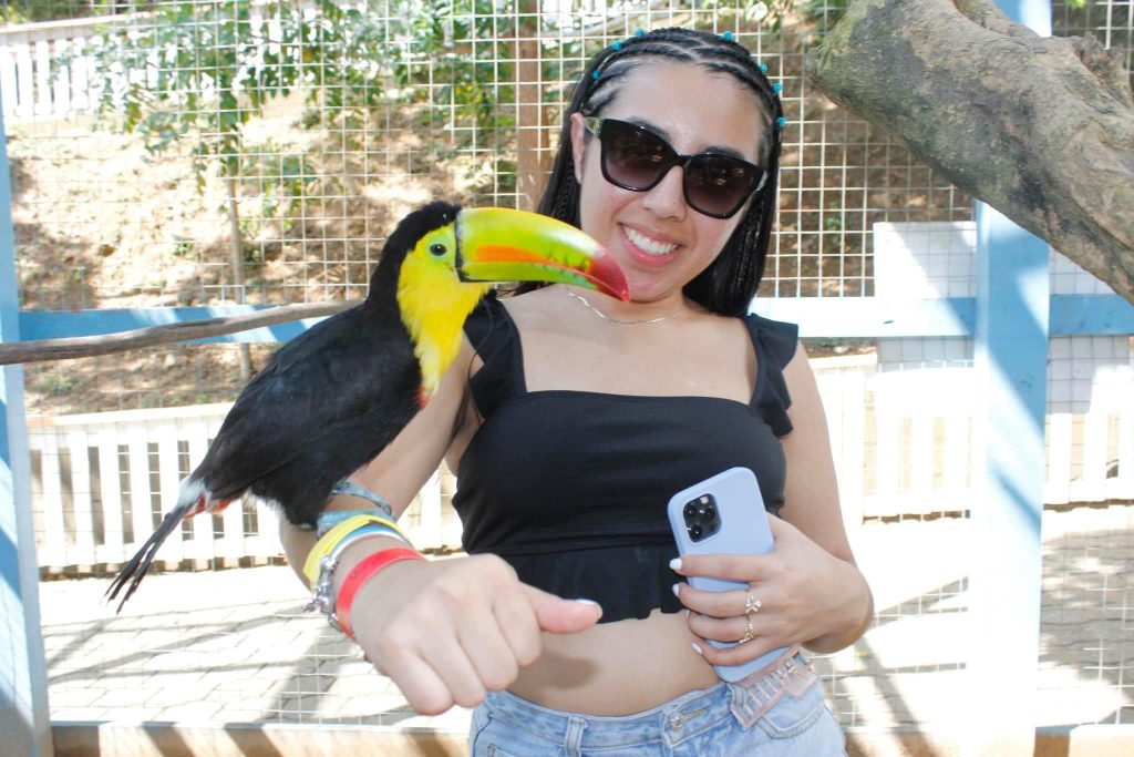 imagen
                                        galeria