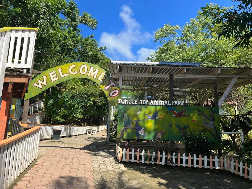 imagen
                                        galeria